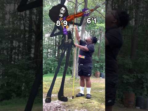 Why Are One Piece Characters So TALL? (Part 5) #onepiece #shorts